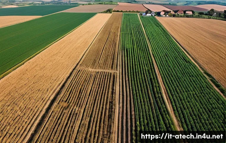 농업기술과 수익성 높은 작물 선정 - A detailed aerial view of an Italian agricultural landscape during late spring, showcasing diverse c...