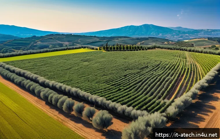 농업기술과 현장 컨설팅 스킬 관련 이미지 1
