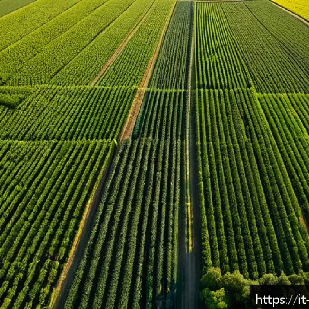 농업기술과 작물 병리학의 기초 - A high-tech agricultural field in the Italian countryside during golden hour, featuring advanced dro...