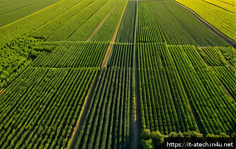 농업기술과 작물 병리학의 기초 - A high-tech agricultural field in the Italian countryside during golden hour, featuring advanced dro...